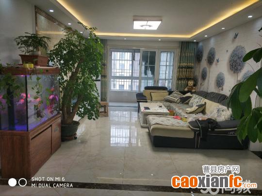 五臺(tái)山小學(xué)南鄰府東城  超豪華裝修