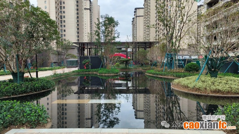 微信圖片_20250211100610