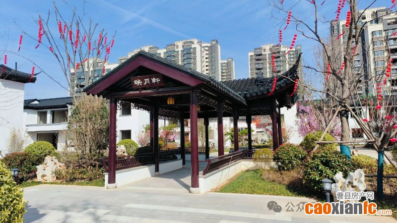 微信圖片_20250323104756