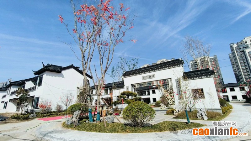 微信圖片_20250323104800