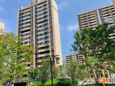 【錦呈·鉑金世家】實(shí)景現(xiàn)房，即買(mǎi)即住 美好生活即刻開(kāi)啟！